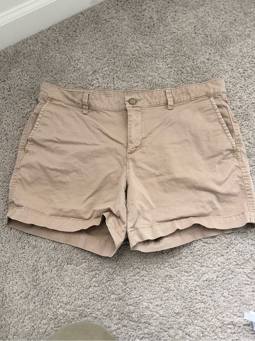 GAP Khaki Shorts 5inch - 8/29
